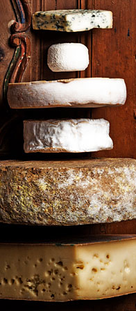 formaggio